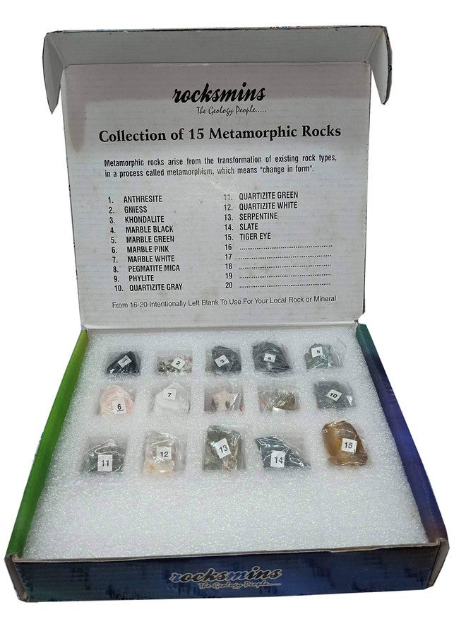 سايج سكوير مجثم/حامل/لعبة رملية خشبية مربعة الشكل من سيج، مناسبة للطيور (خفيفة الوزن) (المقاس - 10 بوصات) - Image 3